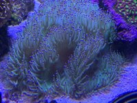 12C6C5FE-7BAF-40F1-9BDE-6436E0B08738.jpeg