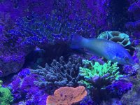 16D409FD-7B7B-4373-8CC1-80F7DCB84CD5.jpeg
