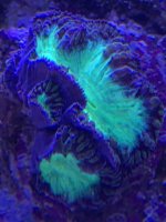 112E70C1-A2D0-4FEF-A404-B377055D66CF.jpeg
