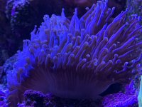 5B0C27D2-48CF-456E-BCA5-721A90B5EB16.jpeg