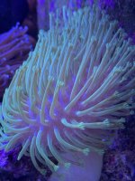 E253782D-8D02-41C9-AB86-4FABC7464346.jpeg