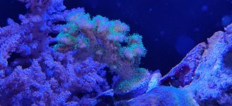 IMG_20220112_192712.jpg