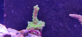 IMG_20220112_192545.jpg