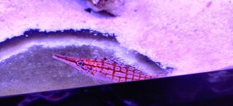 IMG_20220112_192620.jpg