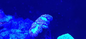 IMG_20220110_095438.jpg