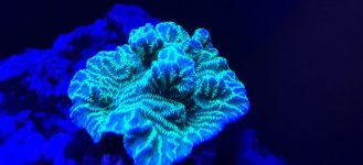 IMG_20220110_095454.jpg