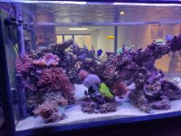 IMG_20220114_130826.jpg