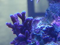 IMG_20211011_174116.jpg