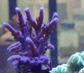 IMG_20220114_100638.jpg