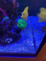 IMG_2376.jpg