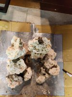 IMG_20220115_182939.jpg