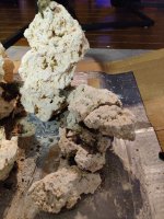 IMG_20220115_182928.jpg