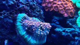 A3C877F6-829A-41DF-B0C7-EB312FB49C35.jpeg A3C877F6-829A-41DF-B0C7-EB312FB49C35.jpeg