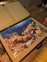 WhatsApp Image 2022-01-18 at 22.01.34.jpeg