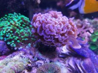 20220120_082715.jpg