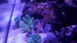 20220120_165758[2324].jpg