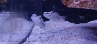 IMG_20220127_103757.jpg IMG_20220127_103757.jpg