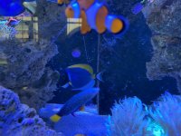 IMG_2713.jpg