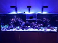 20220129_190135.jpg