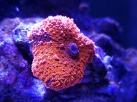 20220129_190837.jpg