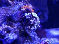 20220129_185858.jpg