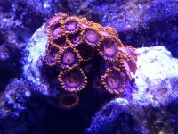 20220129_190534.jpg