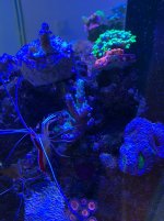 IMG_2692.jpg IMG_2692.jpg