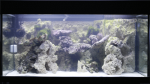 aqua_per_23122006.png