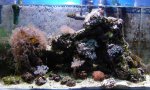 nano (Large).jpg