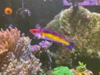 IMG_1983.jpeg