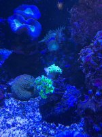 IMG_2826.jpg