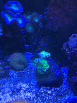 IMG_2836.jpg IMG_2836.jpg
