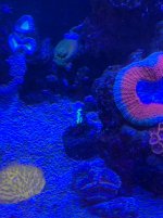 IMG_2942.jpg IMG_2942.jpg