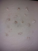20211125_191547.jpg 20211125_191547.jpg