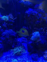 IMG_3064.jpg IMG_3064.jpg