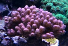 20220218_135811.jpg