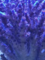20220218_140516.jpg