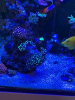 IMG_3338.jpg IMG_3338.jpg