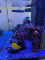 IMG_3550.jpg IMG_3550.jpg
