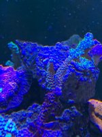 IMG_3575.jpg IMG_3575.jpg