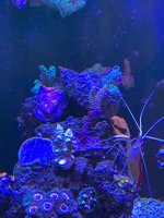 IMG_3580.jpg IMG_3580.jpg