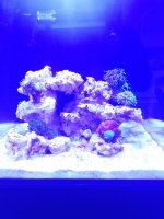 IMG_20220306_154538.jpg