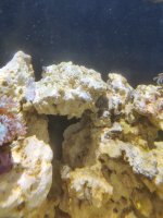 IMG_20220307_124033.jpg