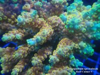 IMG_1030 (Medium).JPG