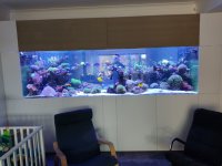 IMG_20220320_160253.jpg