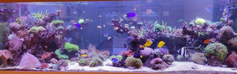 overzicht aquarium2.jpg