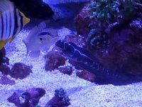 20220318_213028[2484].jpg