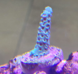 1649531518747.png