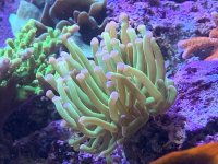 5D042717-1CF4-4640-9AFE-FD9DD5D80CA2.jpeg 5D042717-1CF4-4640-9AFE-FD9DD5D80CA2.jpeg