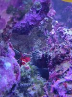 IMG_20220413_191231.jpg